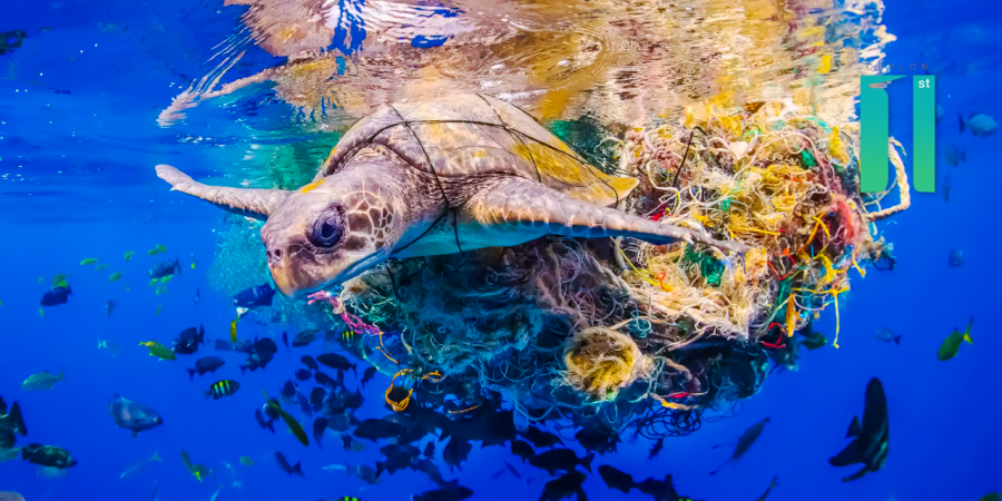 Sea turtle entangled in a mass of ocean debris in Sri Lanka - Ocean Photographer of the Year 2022