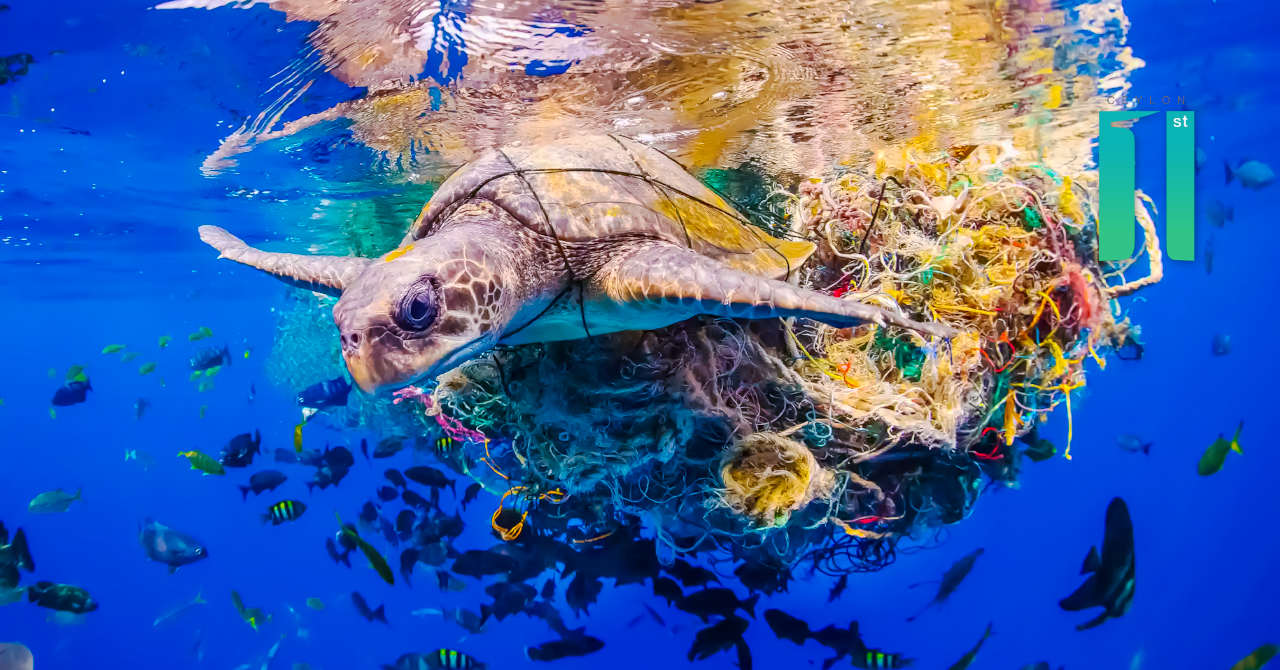 Sea turtle entangled in a mass of ocean debris in Sri Lanka – Ocean Photographer of the Year 2022