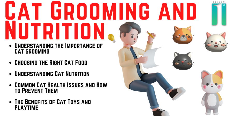 Cat Grooming and Nutrition | Ceylon First