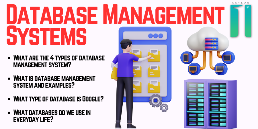Database Management Systems | Ceylon First