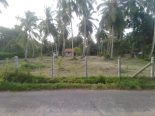 Land for sale in Marawila, Sri Lanka