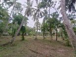 Land for sale in Marawila, Sri Lanka