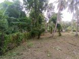 Land for sale in Marawila, Sri Lanka